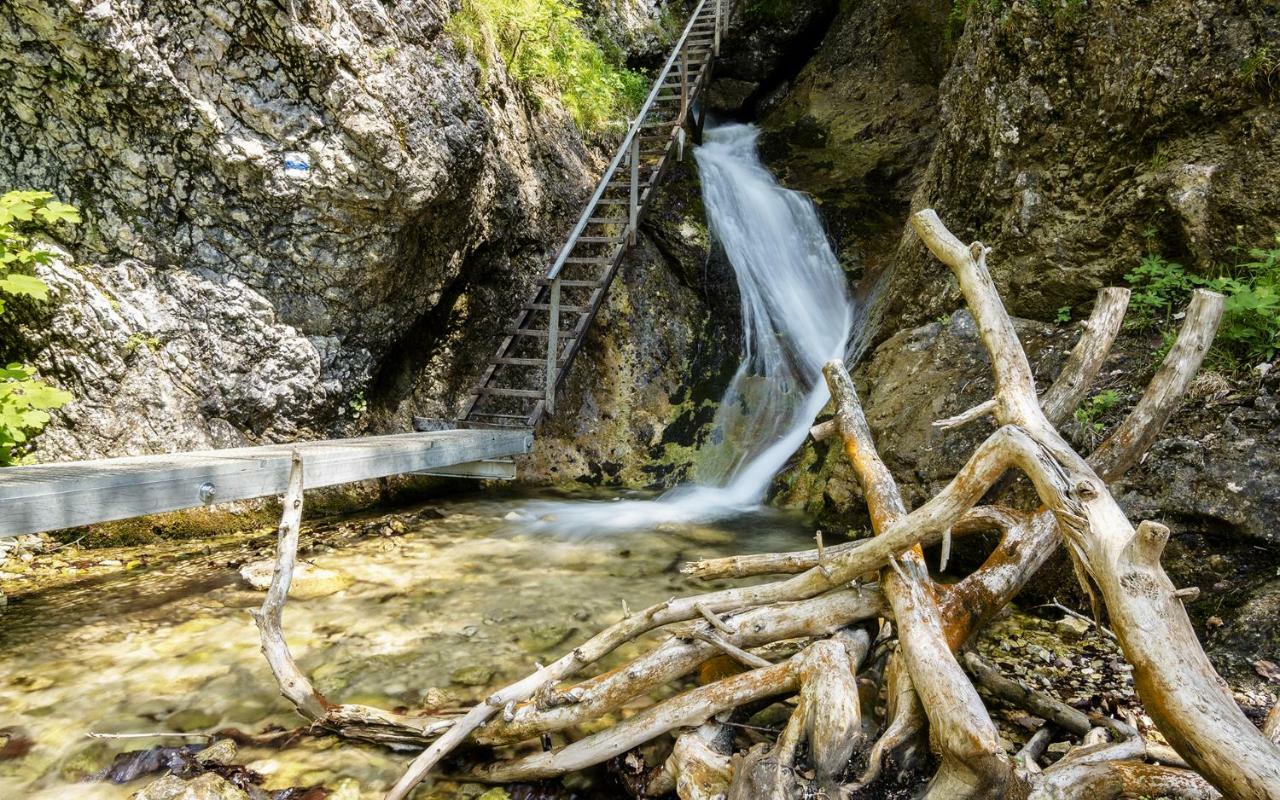 Apartman Romanna Terchová Buitenkant foto